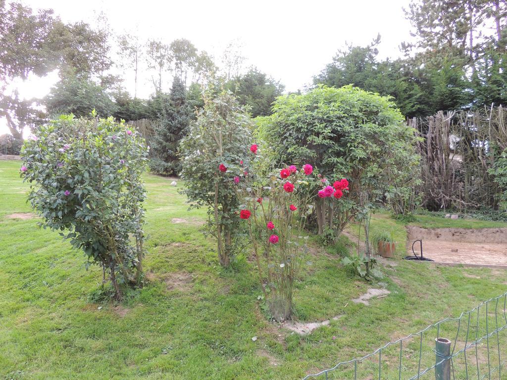 Bed and Breakfast Fleur De Soleil Saint-Jouin-Bruneval Zewnętrze zdjęcie